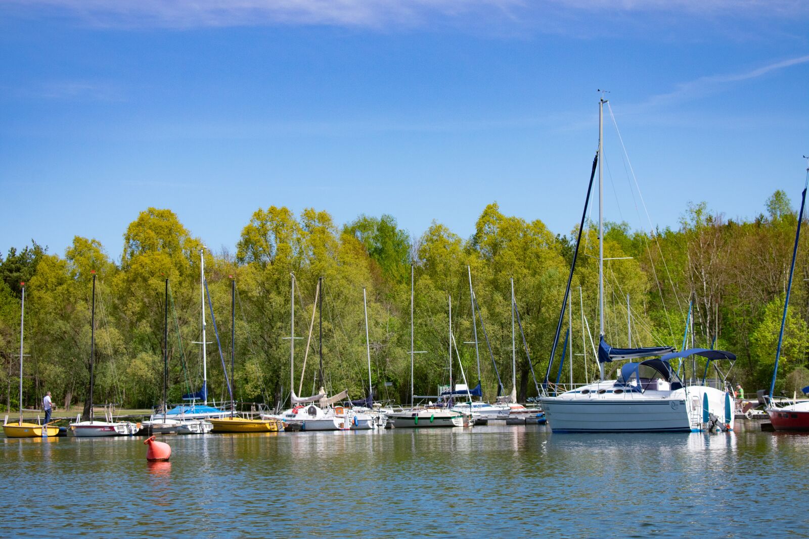 Nikon D3400 sample photo. Sailboats, spring, marina photography
