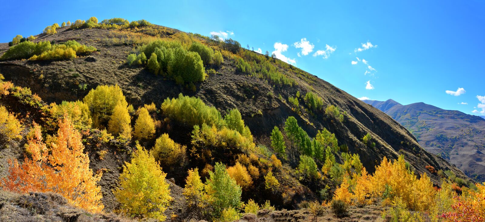 Nikon D7100 sample photo. Autumn, season, nature photography