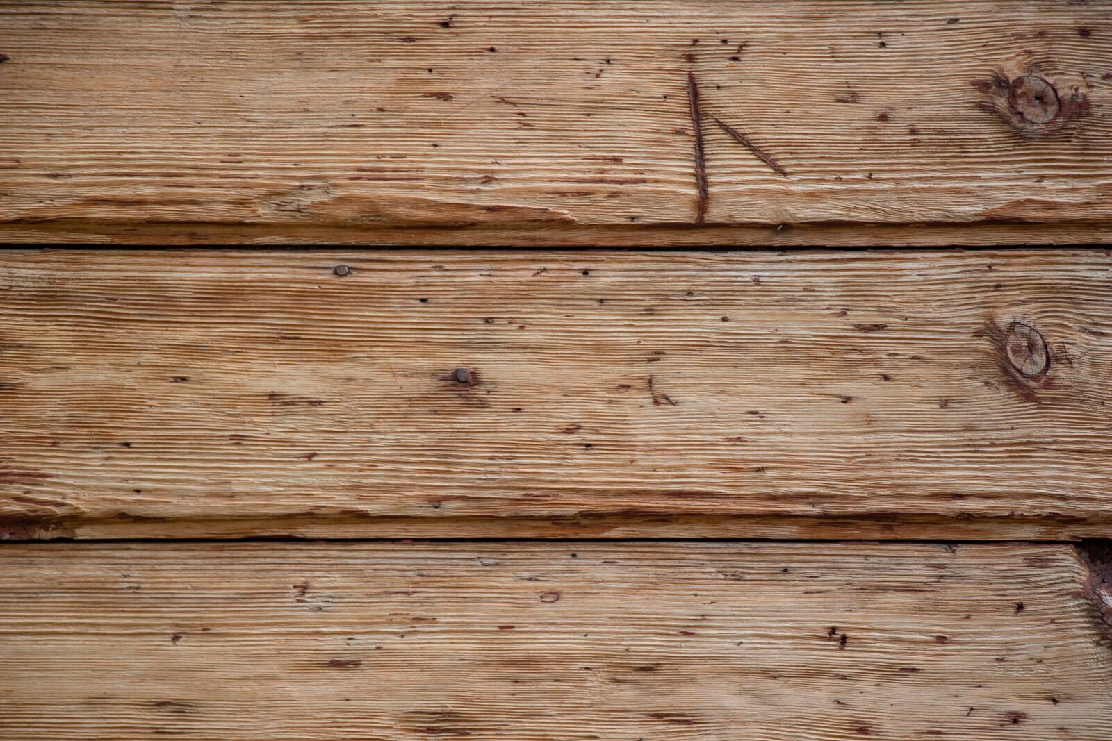 Canon EOS 100D (EOS Rebel SL1 / EOS Kiss X7) sample photo. Fence, wood fence, wood photography