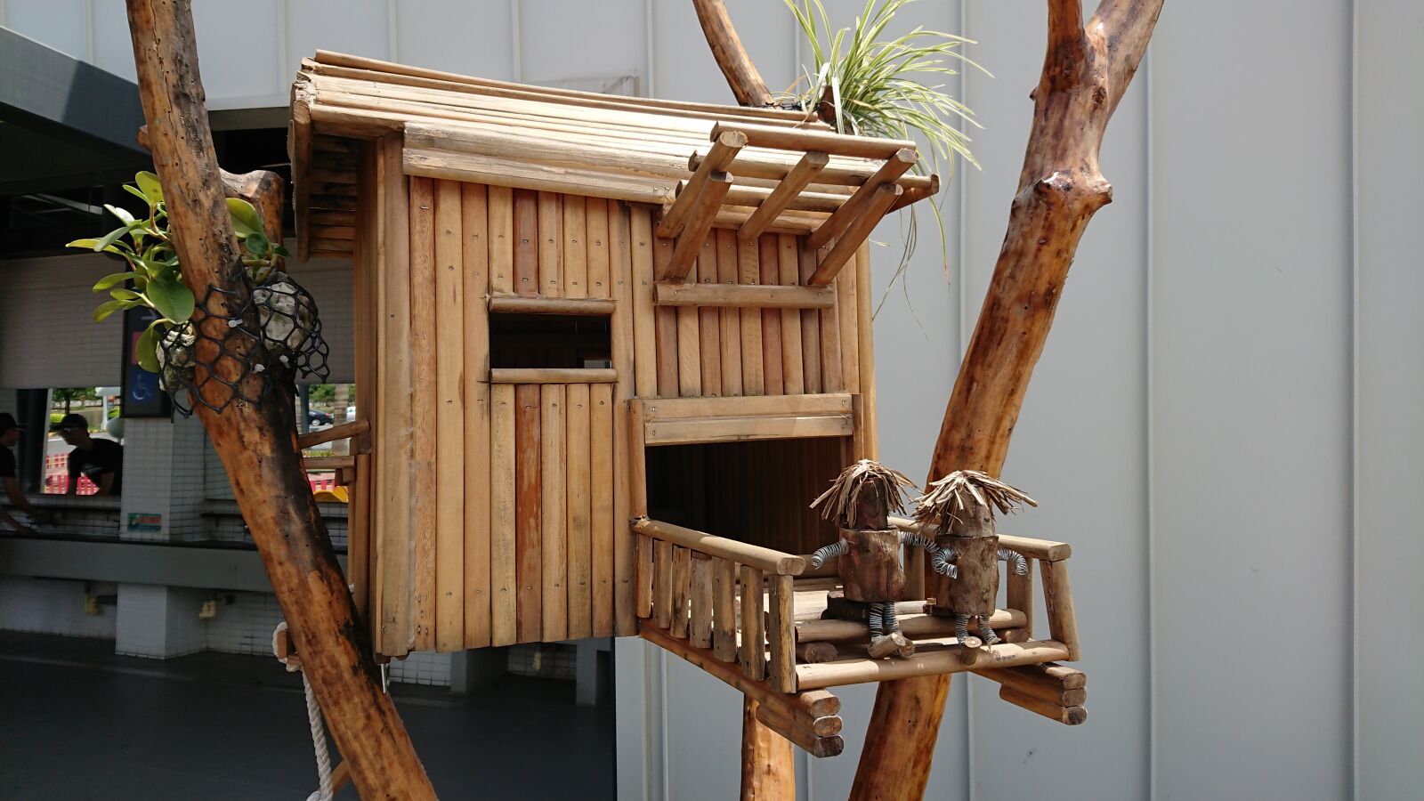 Sony Xperia XZ Premium sample photo. Bird, house, bamboo photography