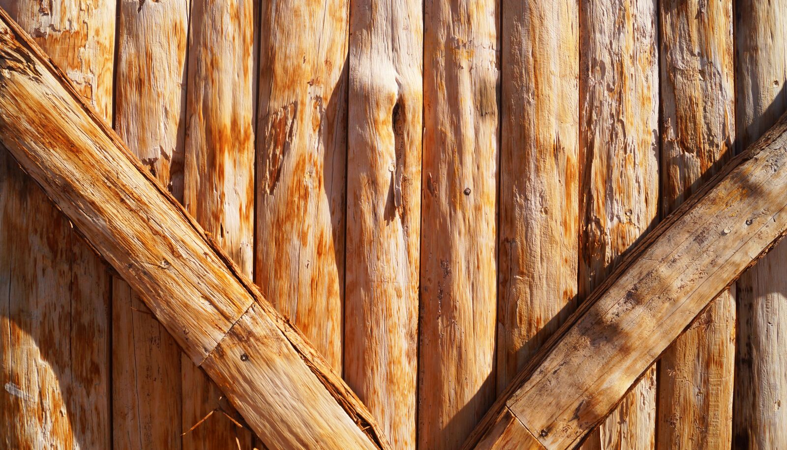 Sony SLT-A37 + Sony DT 18-55mm F3.5-5.6 SAM sample photo. Wood texture, wood, texture photography