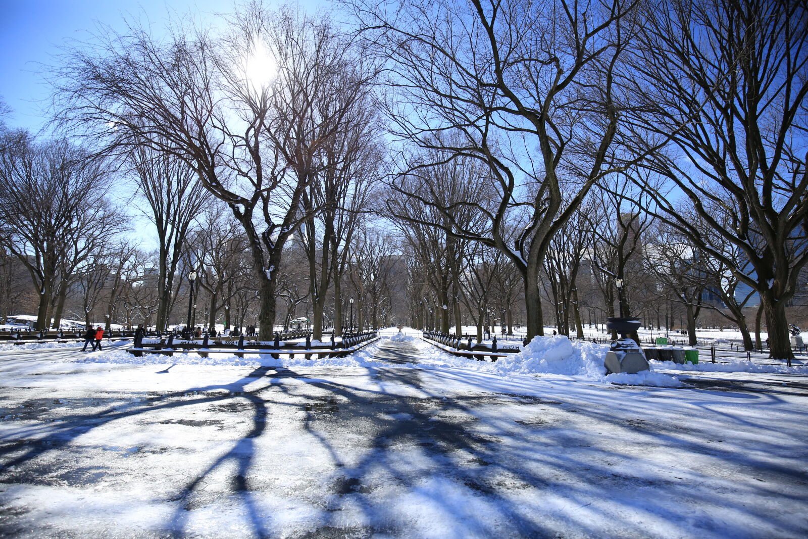 Canon EF 16-35mm F4L IS USM sample photo. Central, park, winter photography