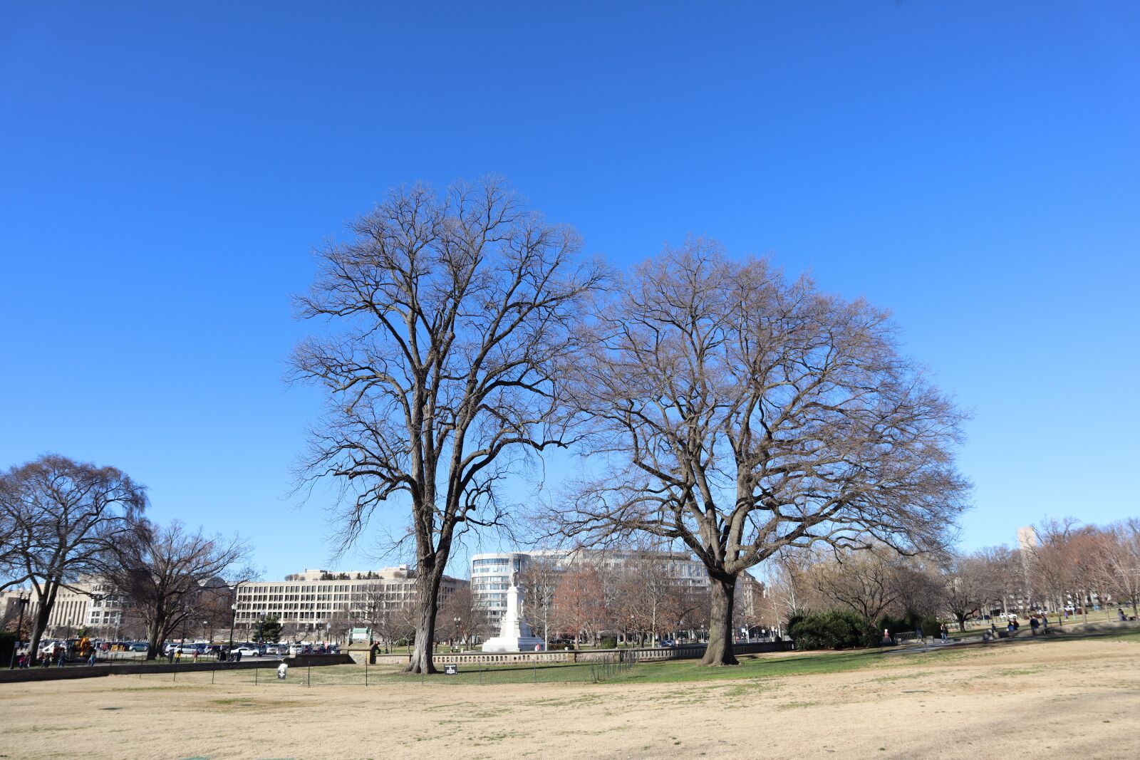 Canon EOS M50 (EOS Kiss M) sample photo. Landscape, tree, nature photography