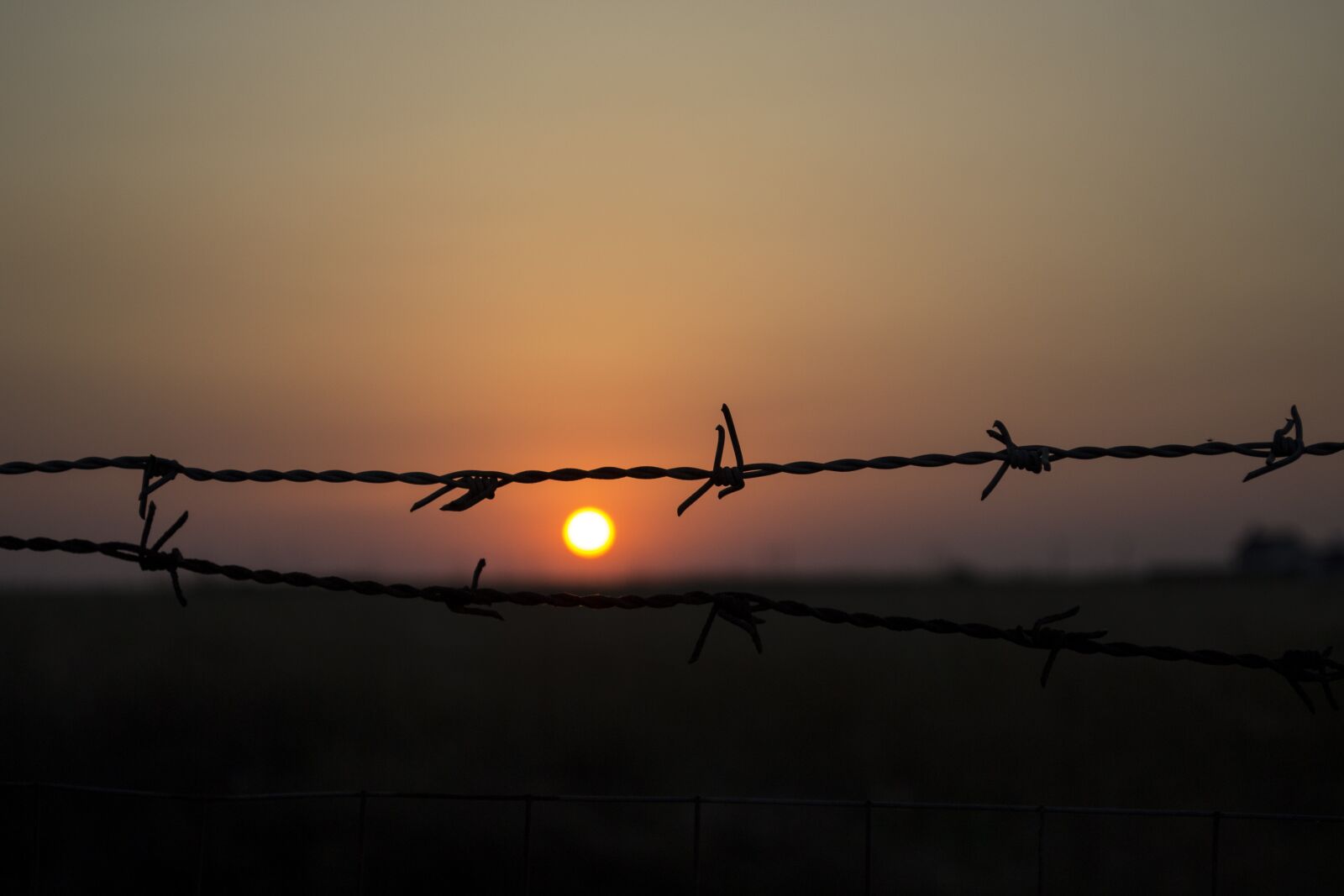 Nikon D3100 sample photo. Barbed wire, sunset, black photography