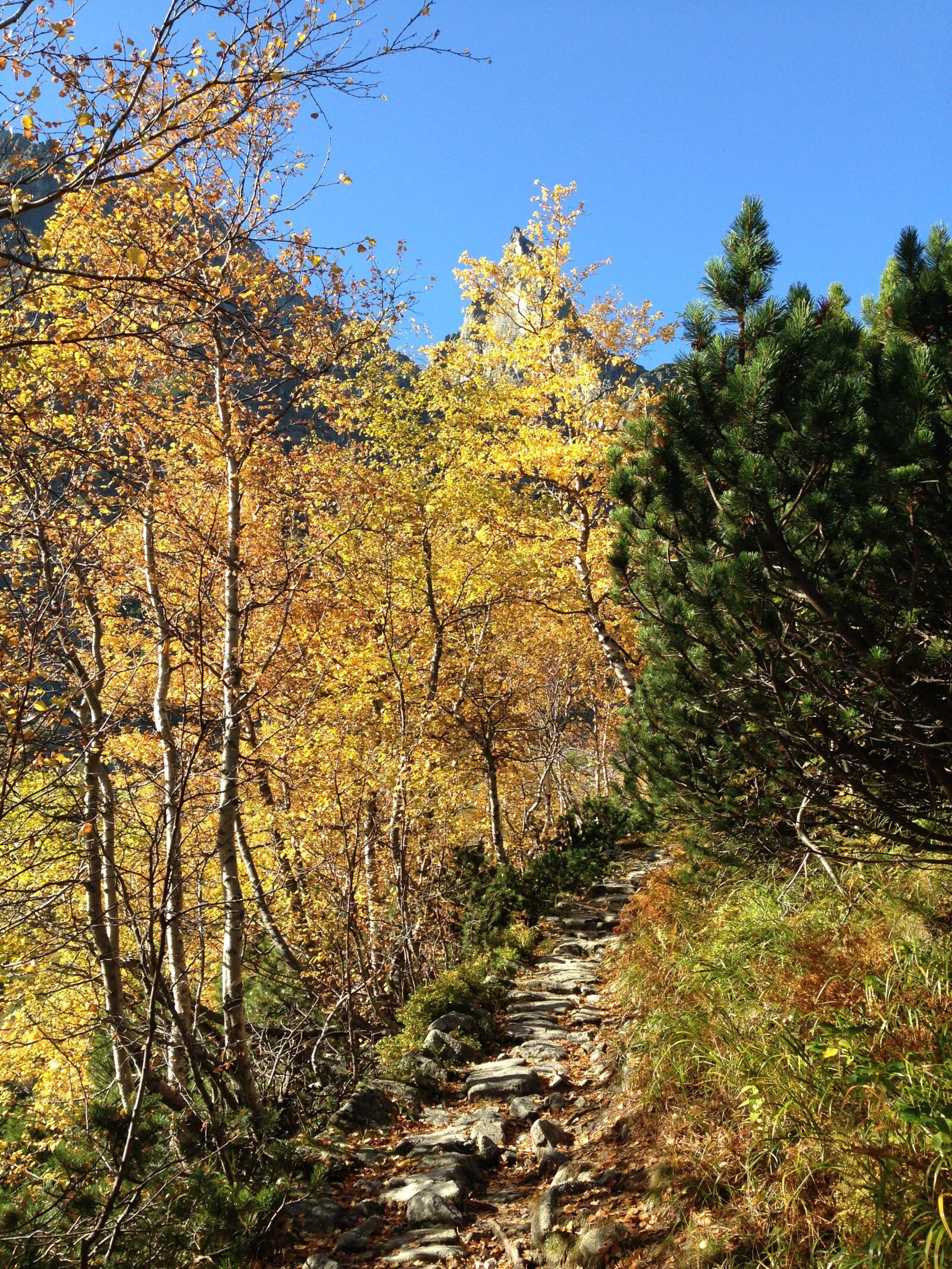 iPhone 5c back camera 4.12mm f/2.4 sample photo. Tatry, mountains, autumn photography
