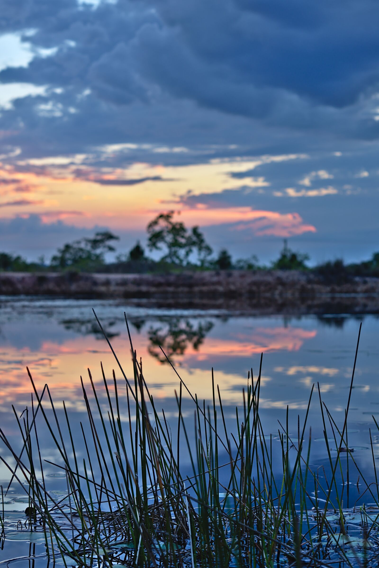 Nikon D7200 sample photo. Grass, pond, sunset photography