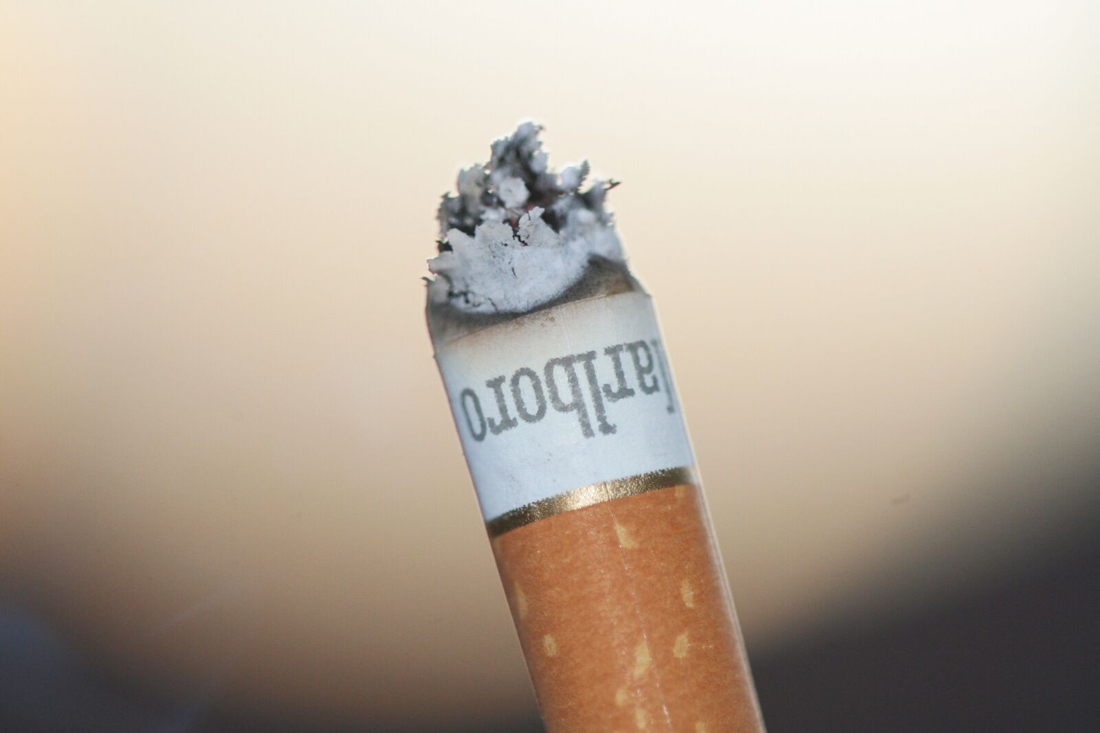 Canon EOS 350D (EOS Digital Rebel XT / EOS Kiss Digital N) sample photo. Cigarette, harmful, hot photography