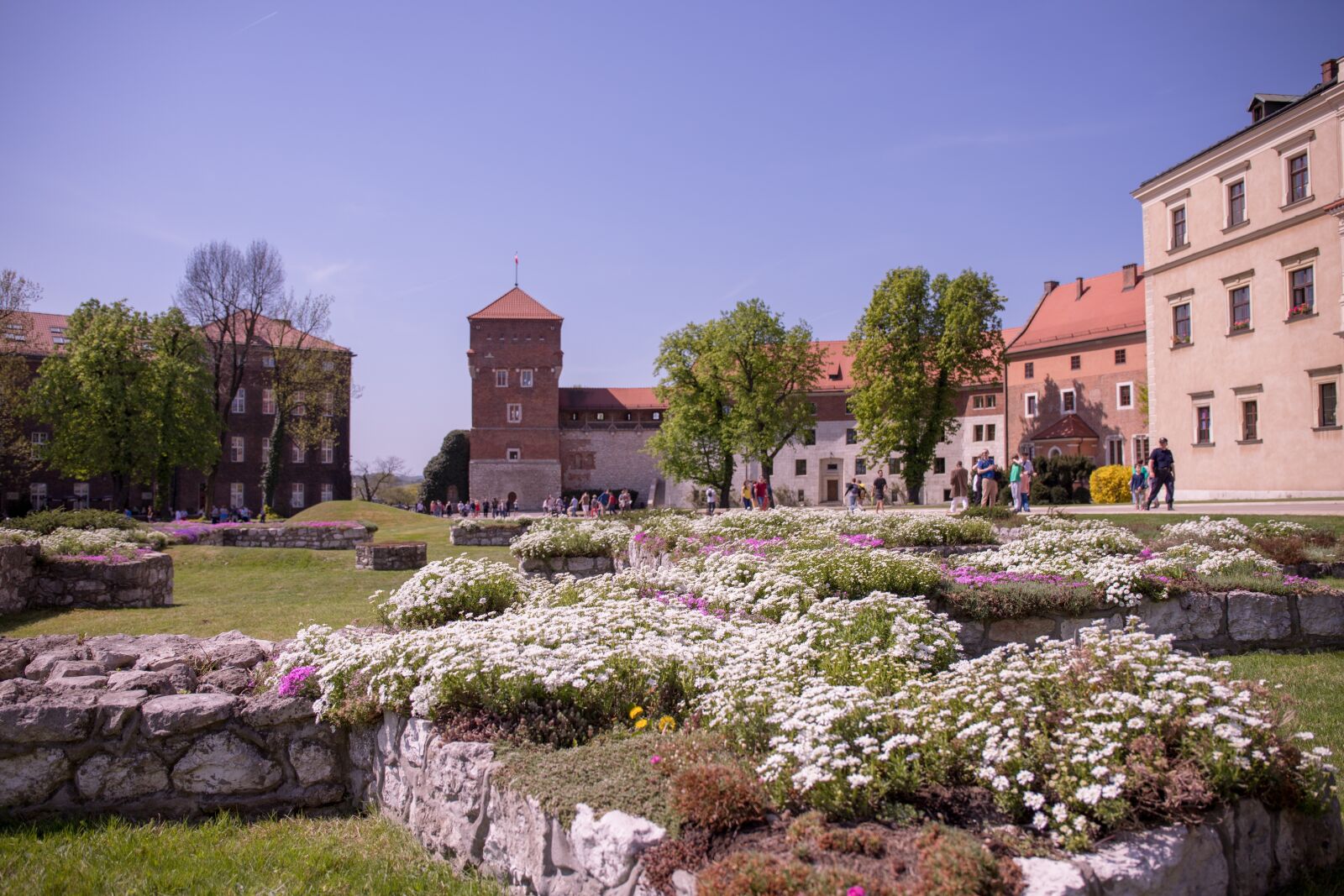 Canon EOS 6D Mark II sample photo. Krakow, wawel castle, poland photography