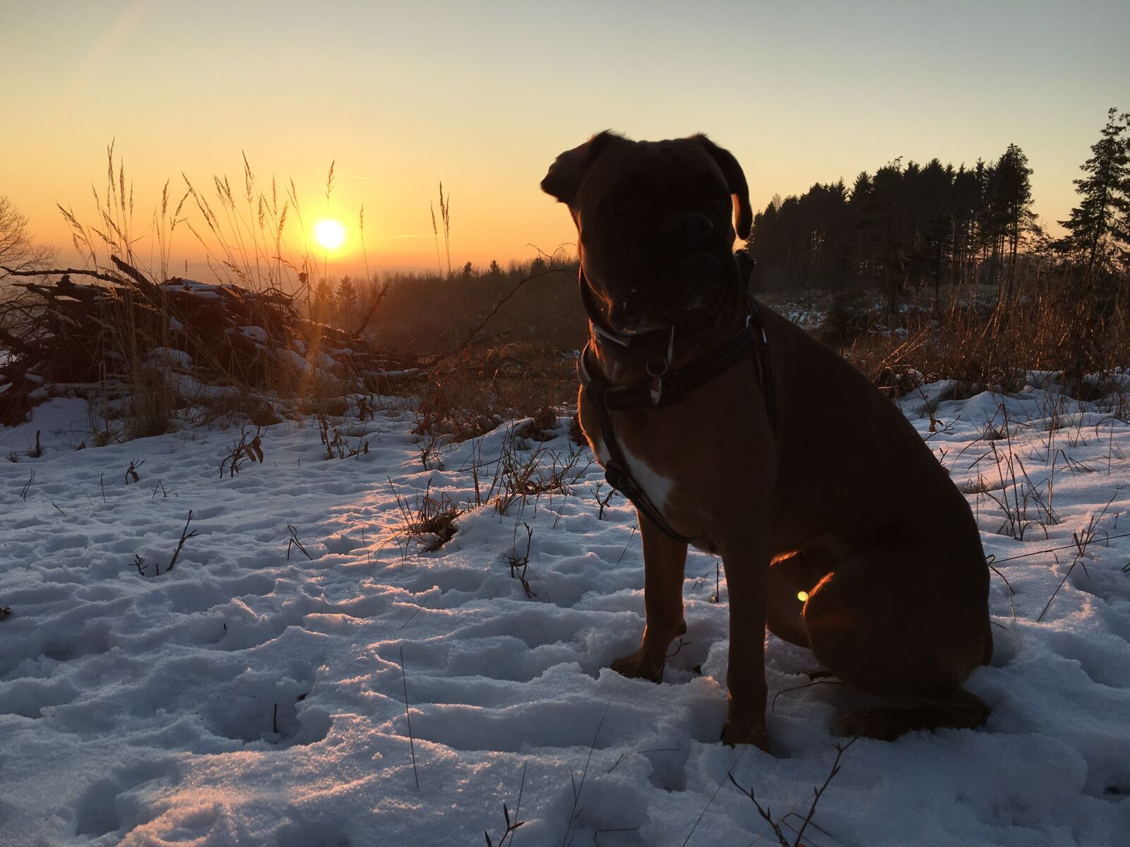 Apple iPhone 6s sample photo. Snow, sunset, wintry photography