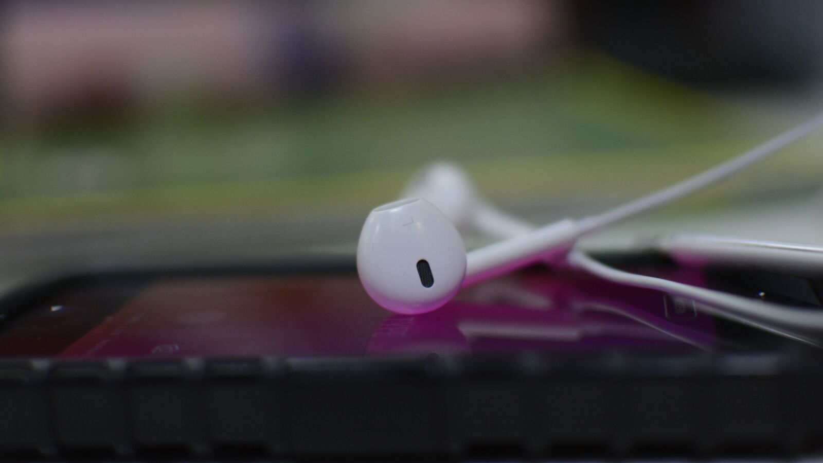 Nikon D5200 sample photo. Closeup, color, summer photography