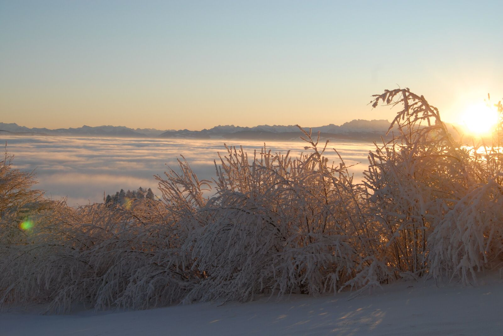 Nikon D200 sample photo. Mood, winter, sun photography