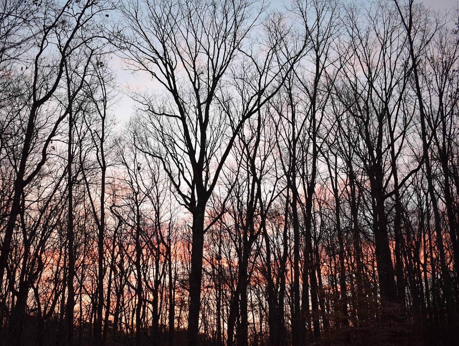 Nikon D3300 sample photo. Sunrise, dawn, winter photography