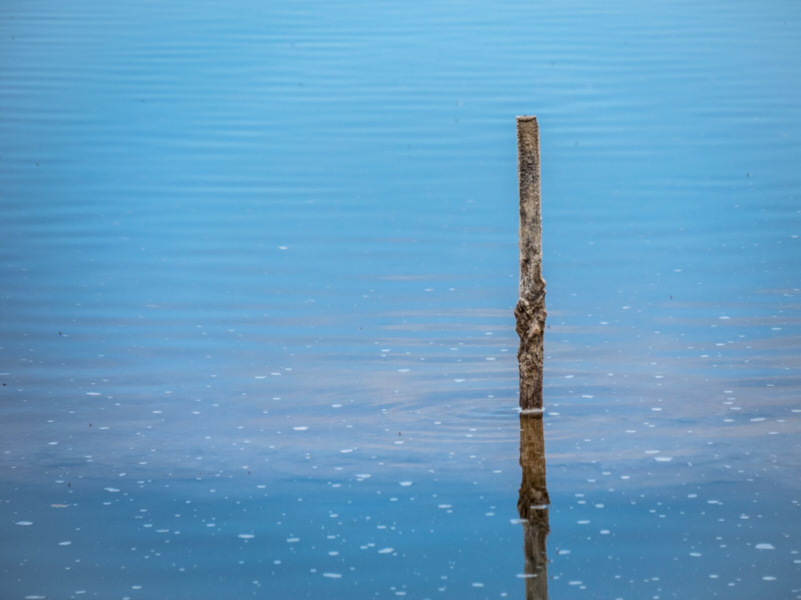 Panasonic Lumix DMC-GX8 sample photo. Minimalist, palo, beautiful photography