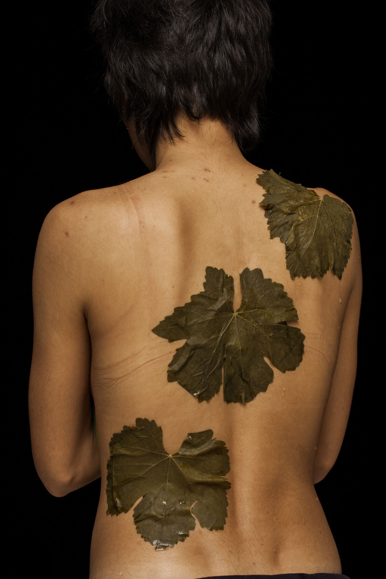 Canon EF-S 60mm F2.8 Macro USM sample photo. Woman, leaves, vine leaves photography