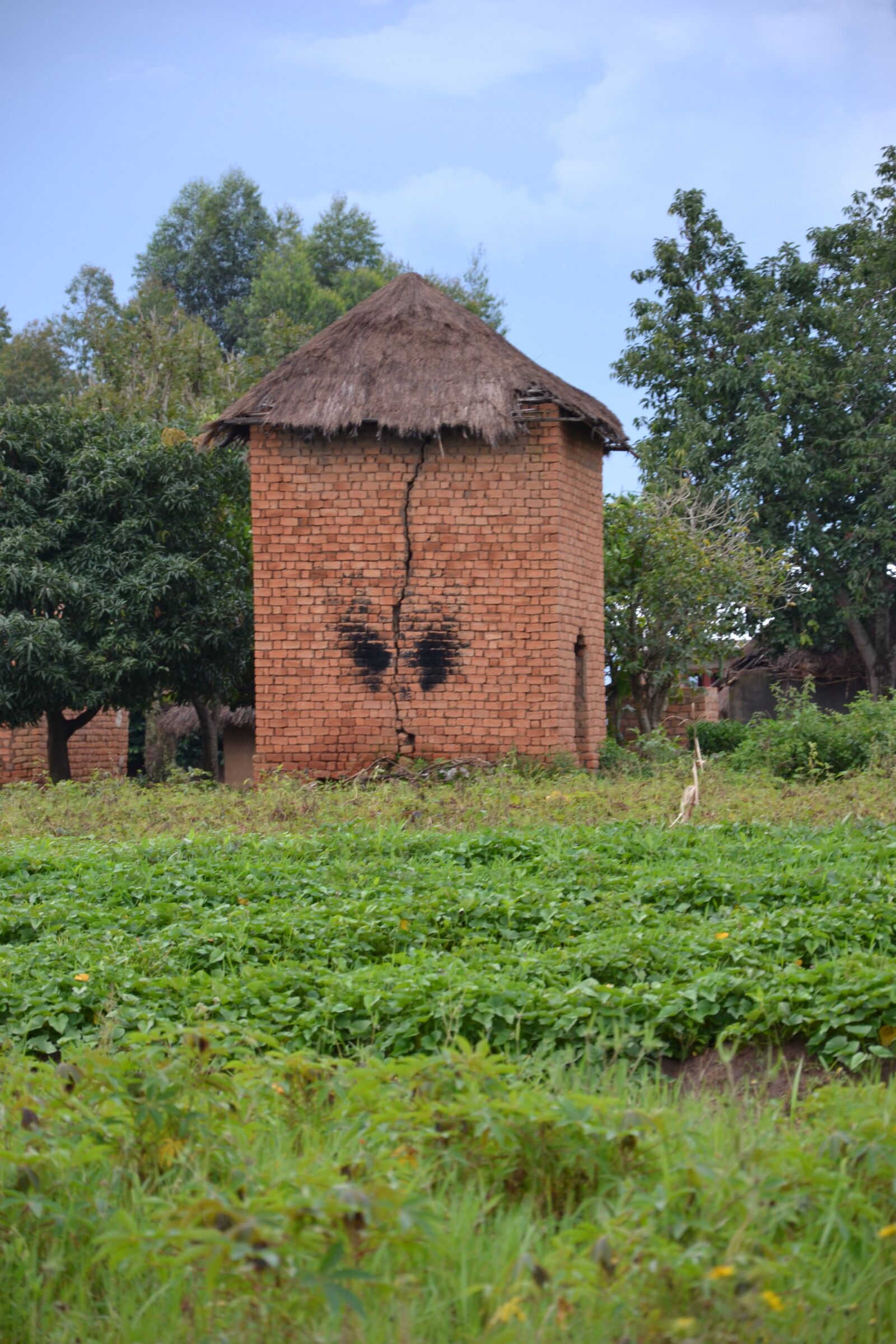 Nikon D3100 sample photo. Drying tower, uganda, agriculture photography