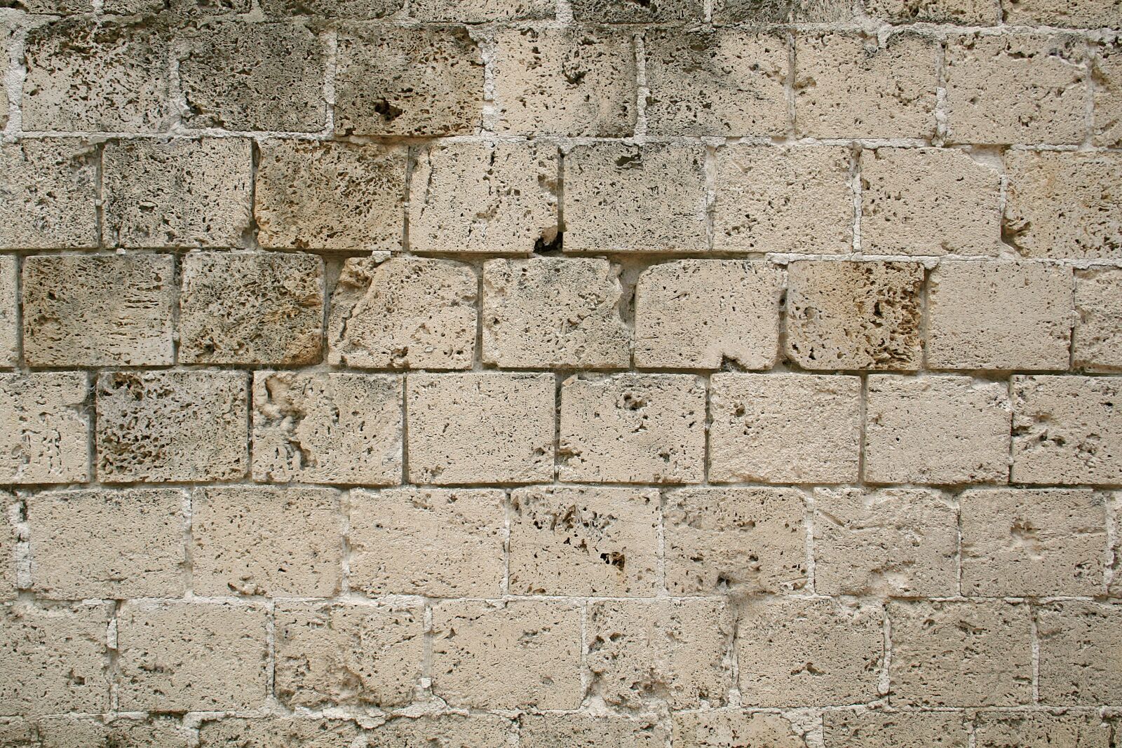 Canon EOS 350D (EOS Digital Rebel XT / EOS Kiss Digital N) sample photo. Wall, stone, texture photography