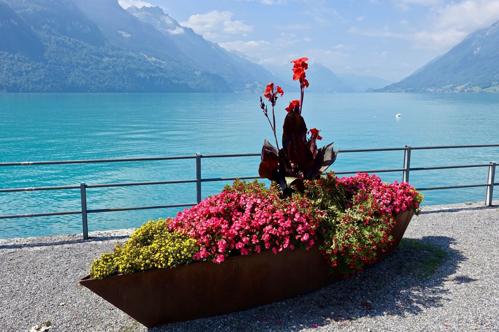 Sony Cyber-shot DSC-RX100 III sample photo. Flowers, lake, landscape photography
