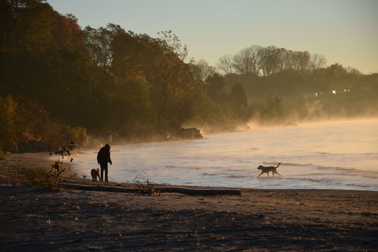 Nikon D3300 sample photo. Ontario, canada, more photography