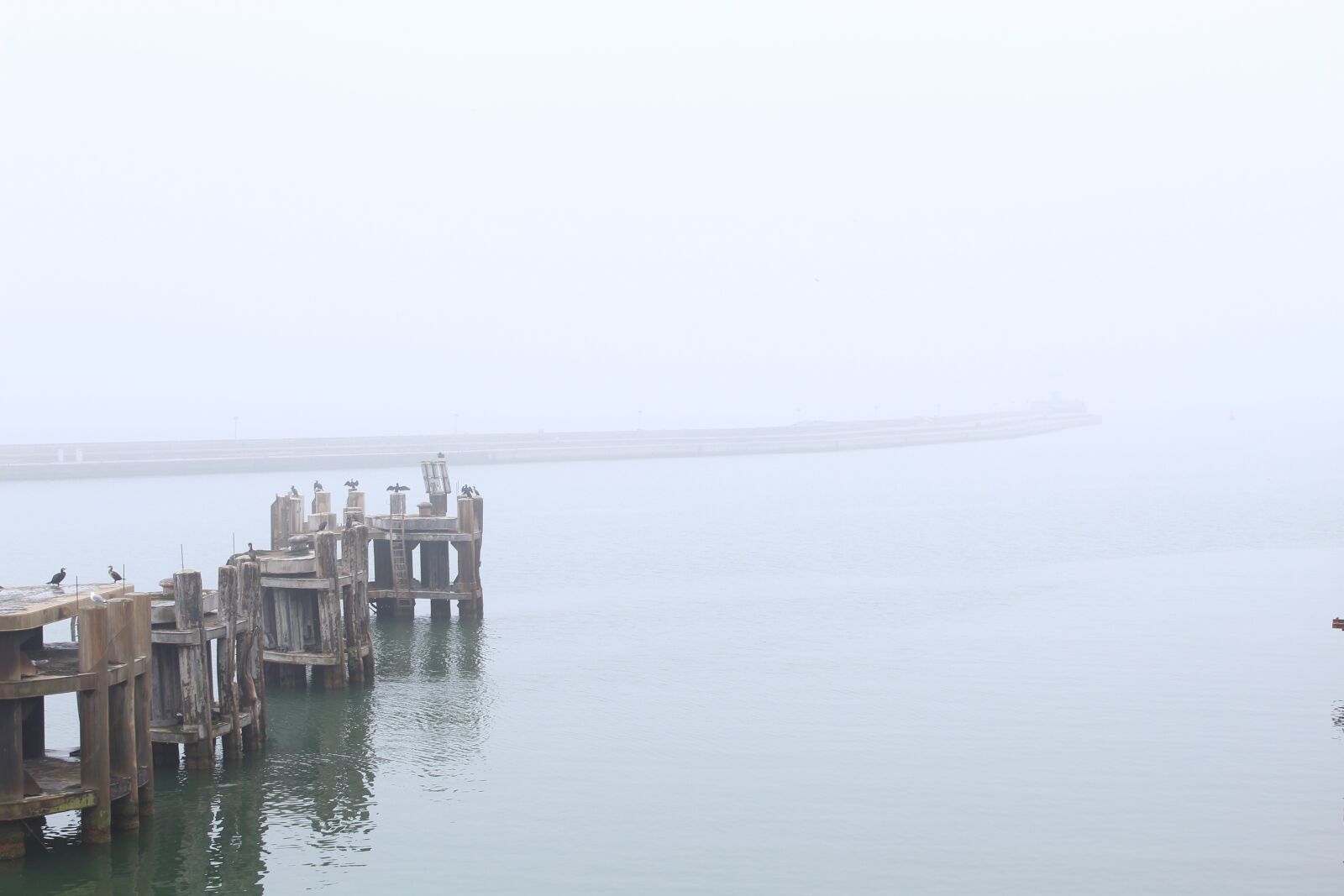 Canon EOS 4000D (EOS Rebel T100 / EOS 3000D) sample photo. Fog, landscape, water photography