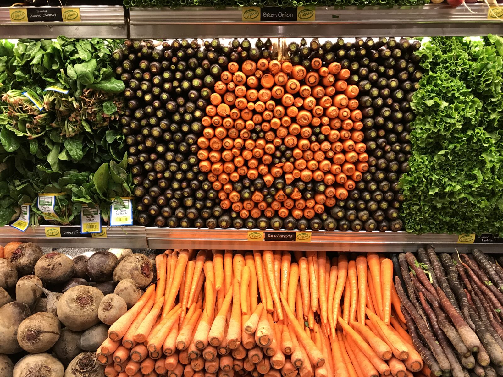 iPhone 7 Plus back dual camera 3.99mm f/1.8 sample photo. Vegetables, pumpkin, carrots photography