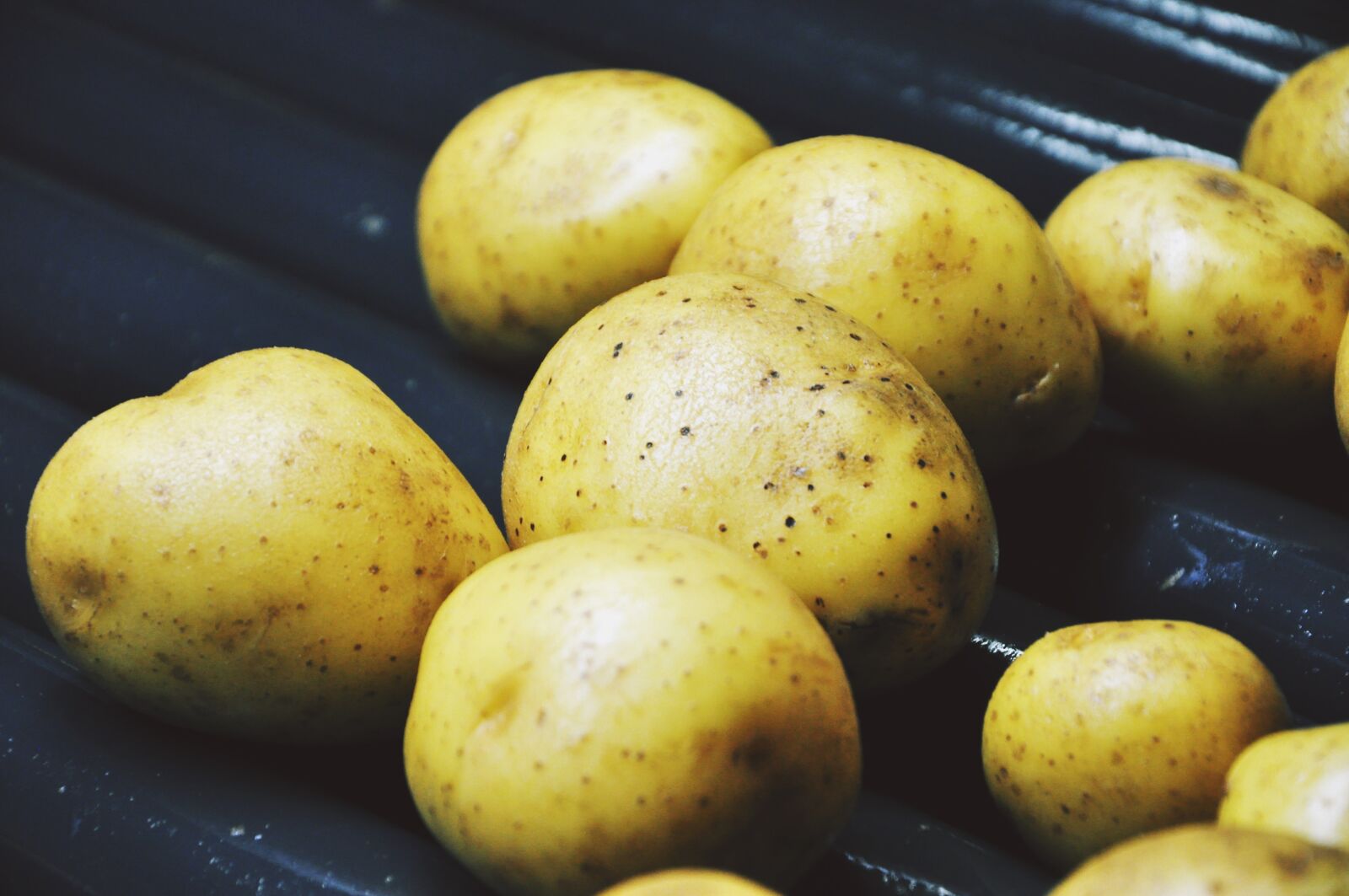 Nikon D90 sample photo. Potatoes, washing, tubers photography