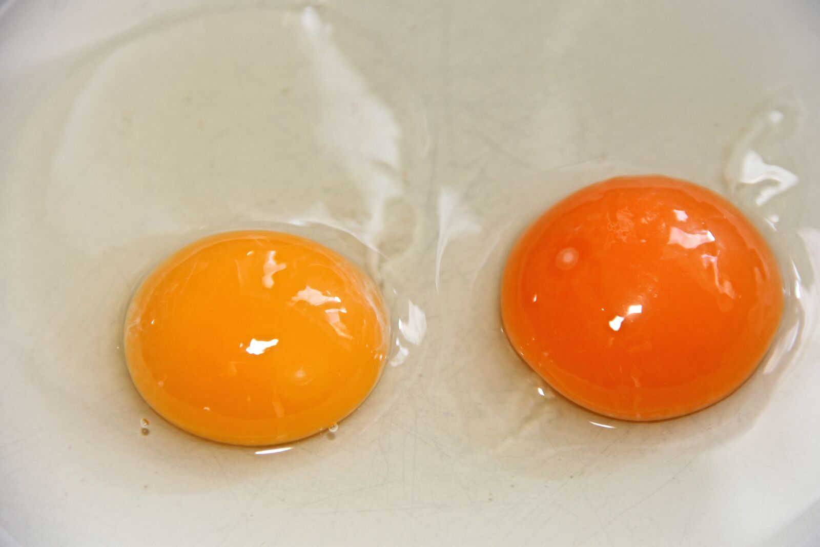 Canon EOS 1100D (EOS Rebel T3 / EOS Kiss X50) sample photo. Egg yolk, egg, fried photography