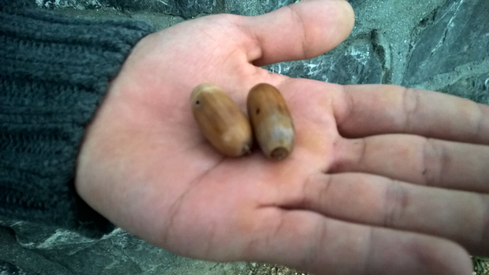 Nokia Lumia 1520 sample photo. Hand, nuts photography