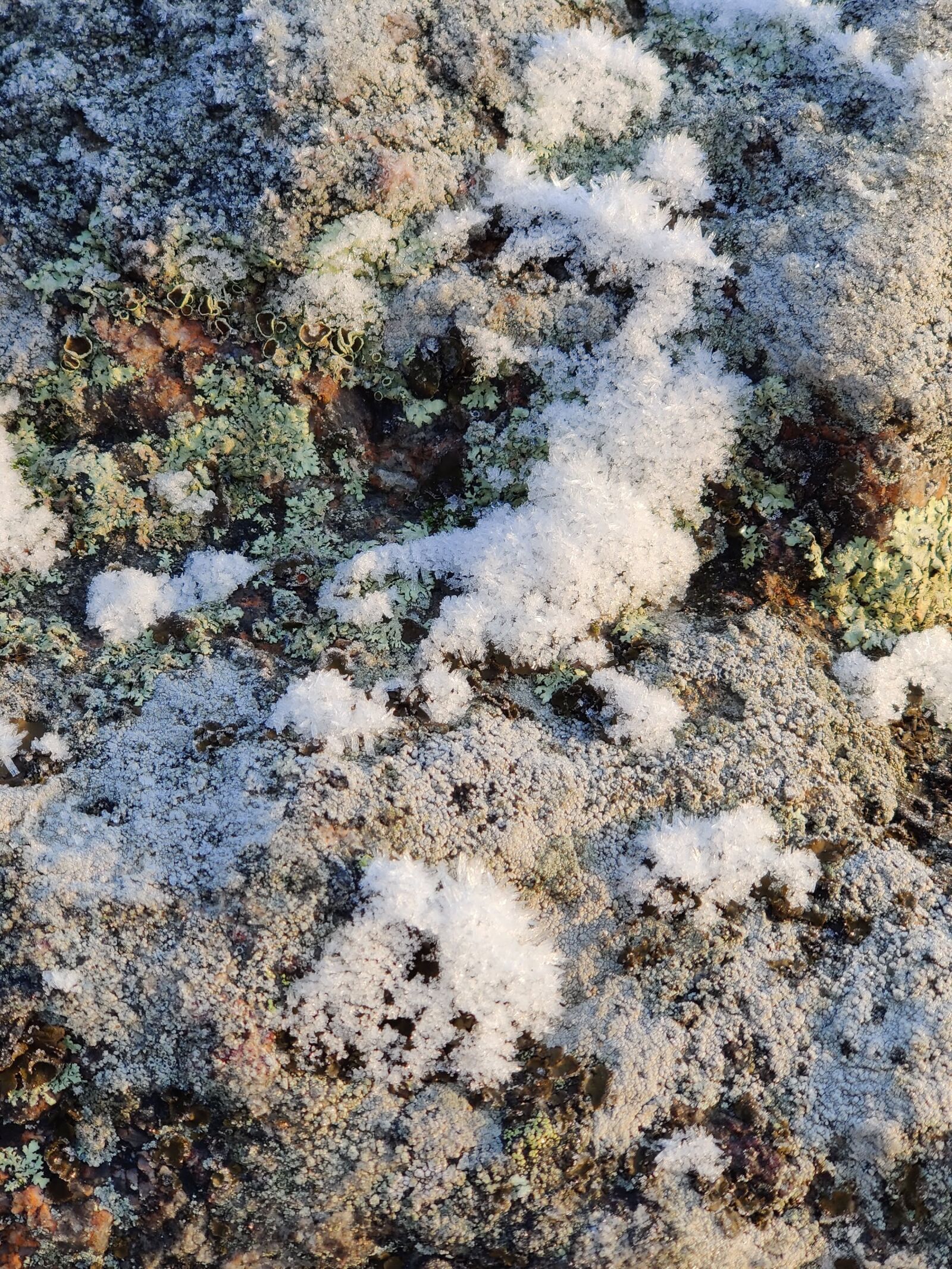 OnePlus HD1913 sample photo. Snow, frost, ice photography