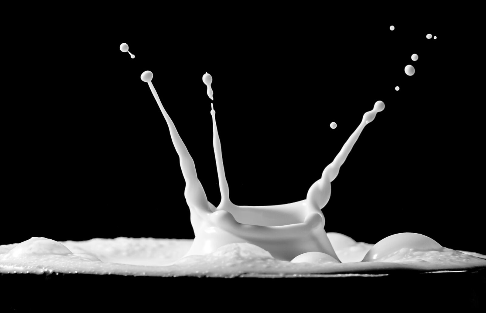 Canon EOS R sample photo. Milk, spray, drip photography