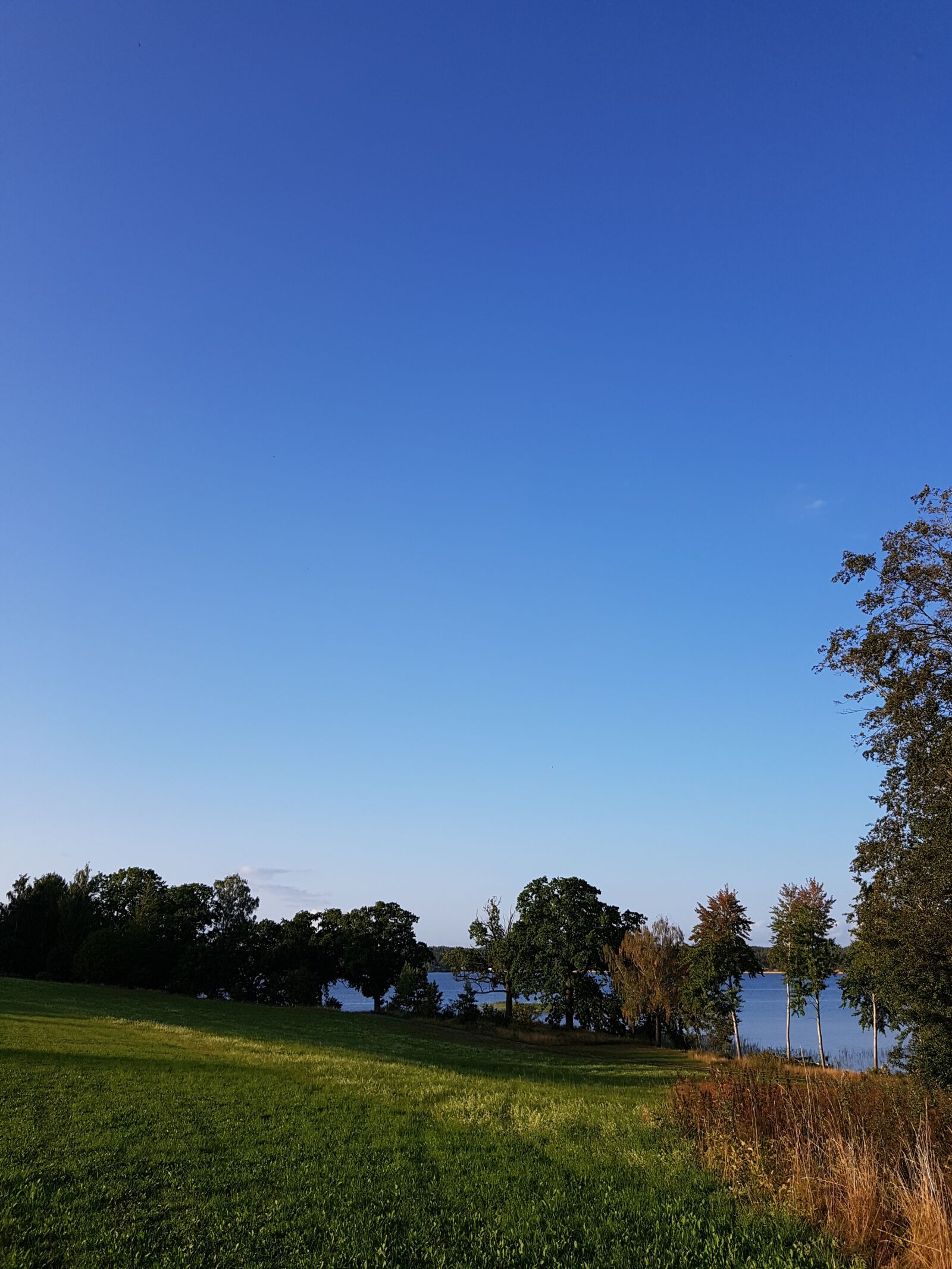 Samsung Galaxy S7 sample photo. Summer, himmel, views photography