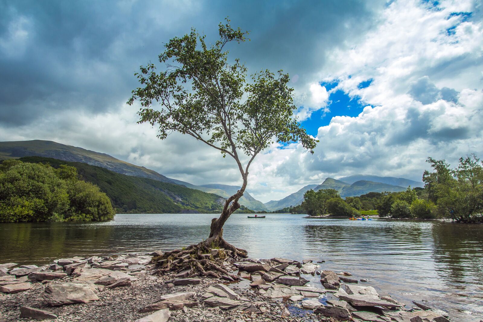 Canon EOS 60D sample photo. Tree, lake, nature photography