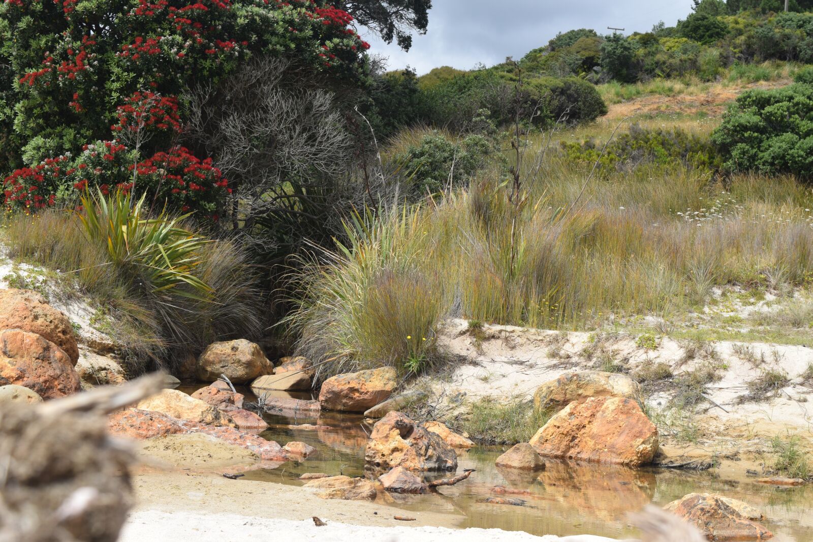 Nikon D3300 sample photo. Beach, sand, ocean photography