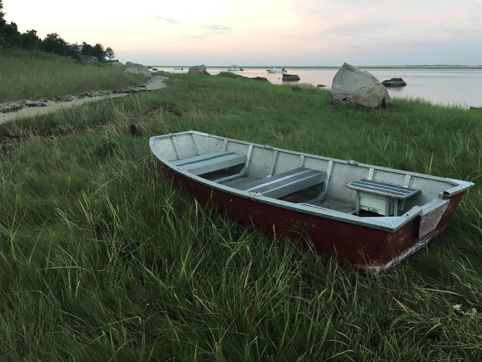 Apple iPhone 6s sample photo. Boat, grass, water photography