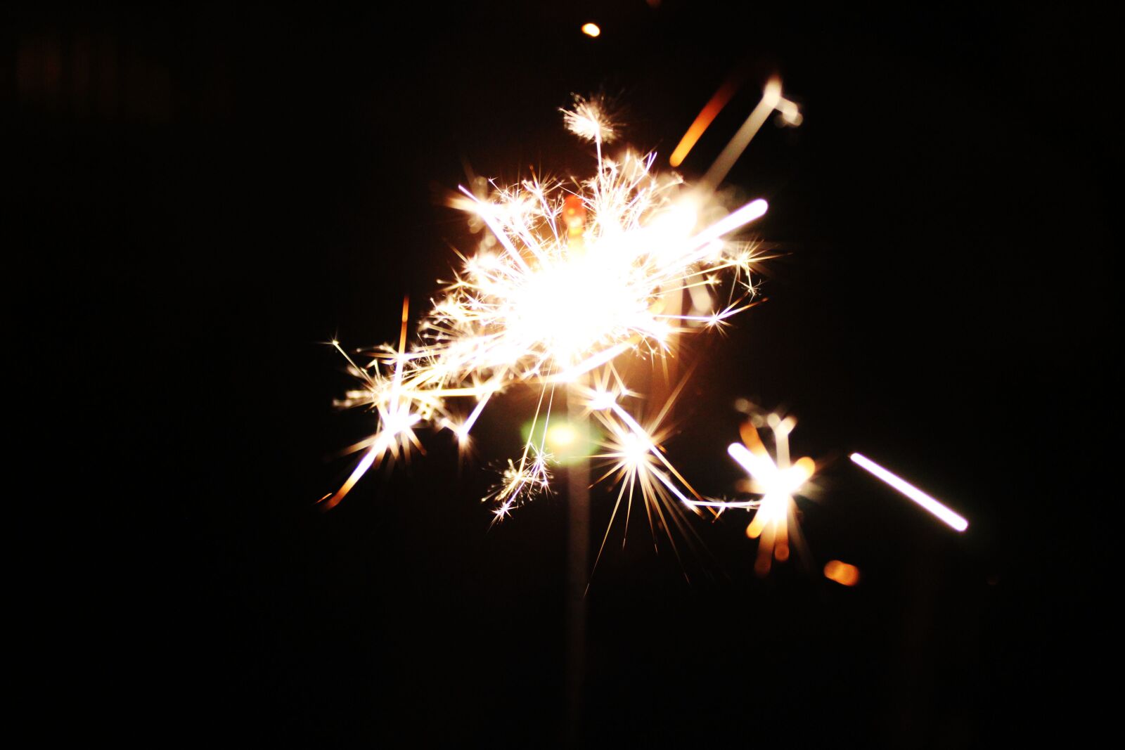 Canon EOS 550D (EOS Rebel T2i / EOS Kiss X4) sample photo. Fire, flower, biack photography