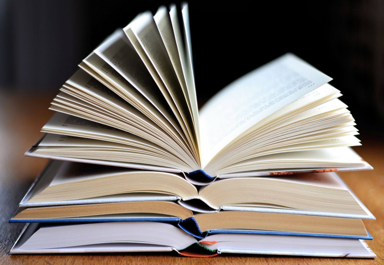 Nikon D610 sample photo. Book, read, book pages photography