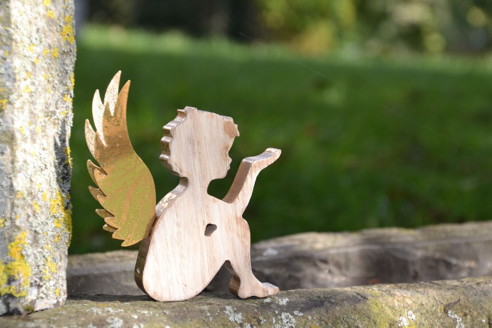 Nikon D3100 sample photo. Angel, wing, love photography