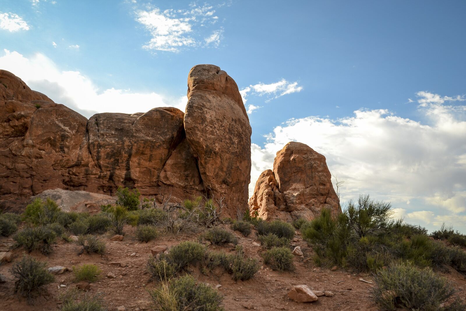 Nikon D3100 sample photo. Arches national park, trees photography