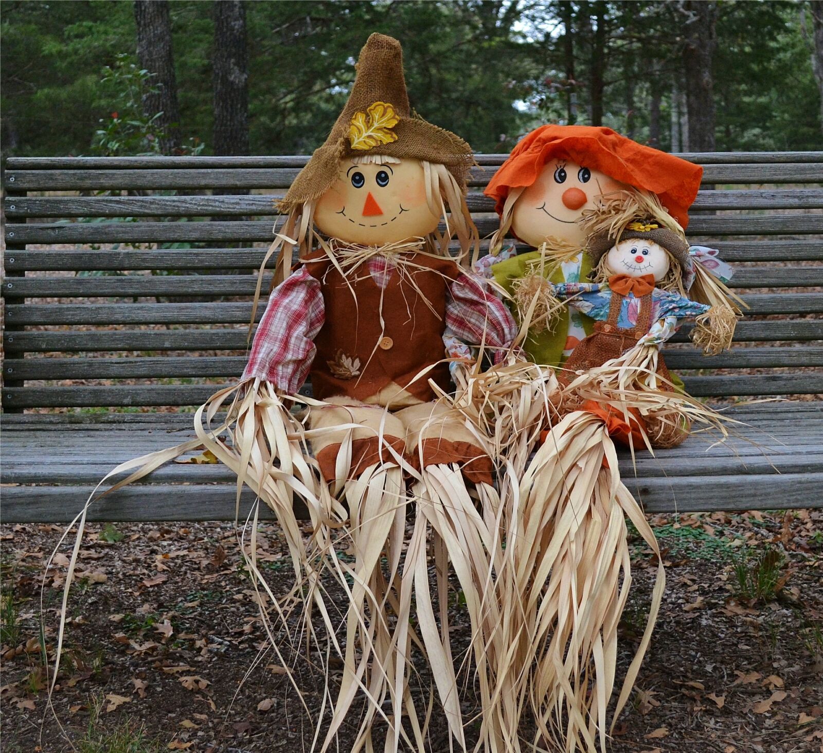Nikon D3100 sample photo. Fall models, autumn, couples photography