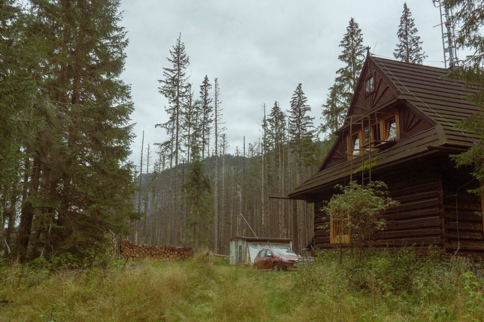 Sony a5100 sample photo. House, cabin, forest photography