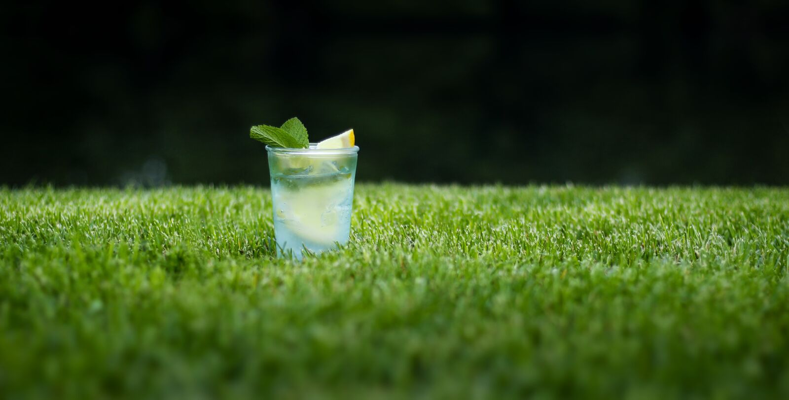 Canon EOS 700D (EOS Rebel T5i / EOS Kiss X7i) sample photo. Lawn, grass, drink photography