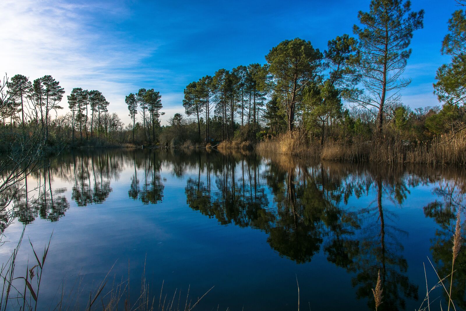 Nikon D7100 sample photo. Arcachon basin, sunset, reflections photography