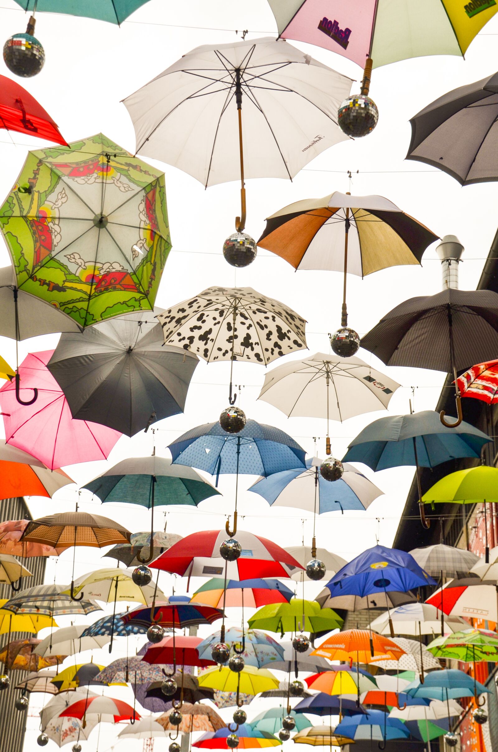 Nikon D7000 sample photo. Umbrella, protection, parasol photography