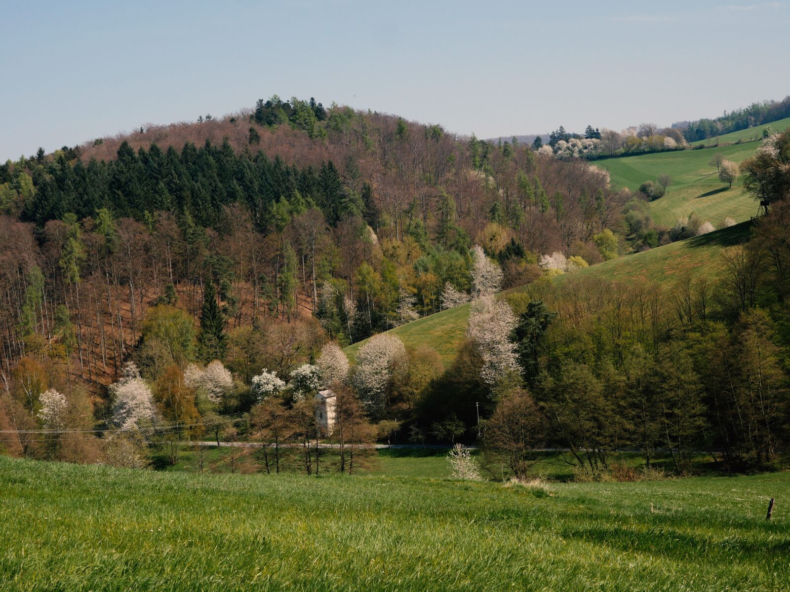 Panasonic Lumix DMC-GX8 sample photo. Odenwald, cultural landscape, mixed photography
