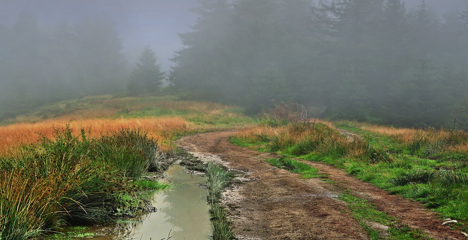 Nikon D90 sample photo. The fog, mountains, the photography