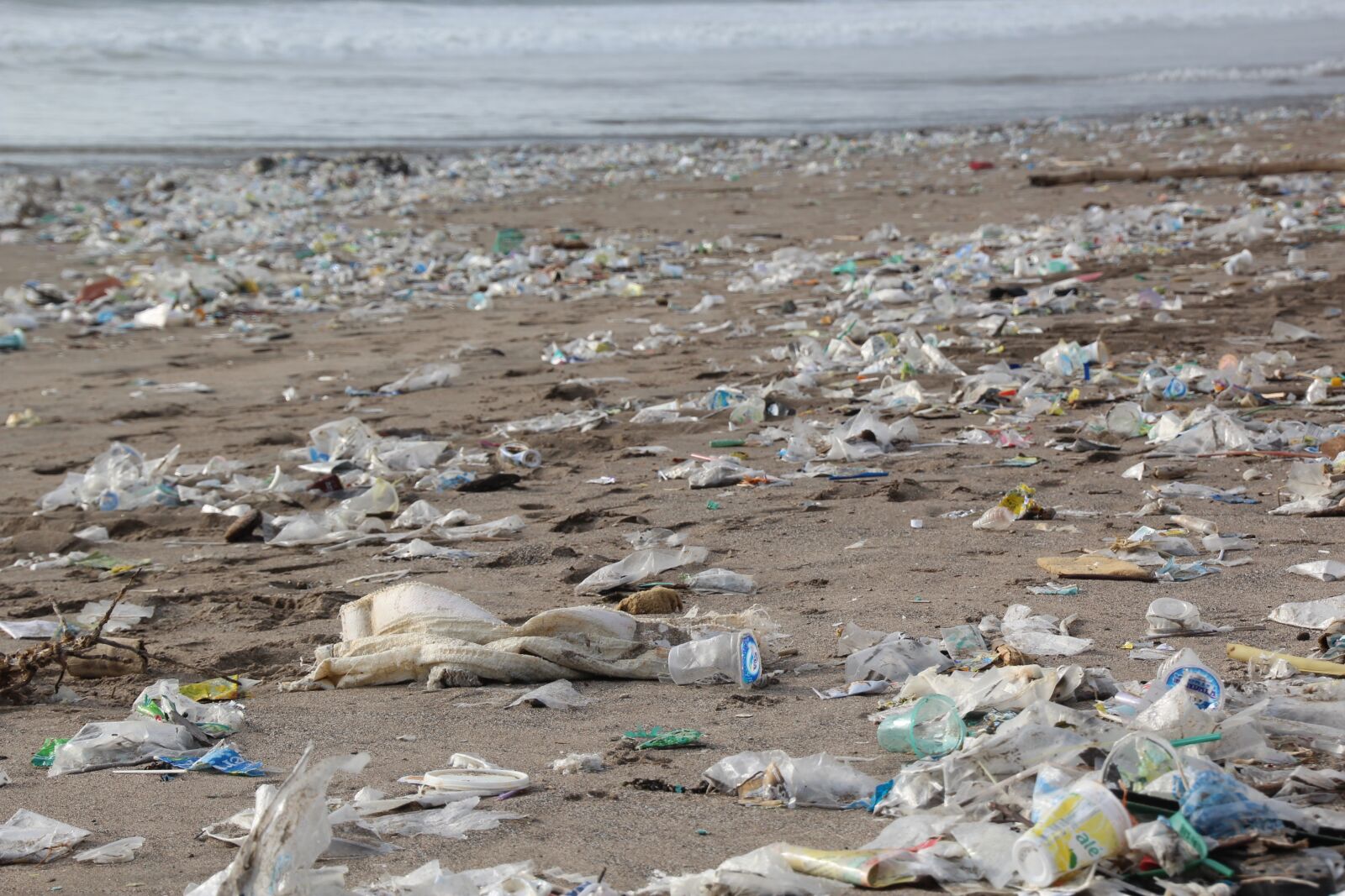 Canon EOS 1200D (EOS Rebel T5 / EOS Kiss X70 / EOS Hi) sample photo. Garbage, environment, beach photography