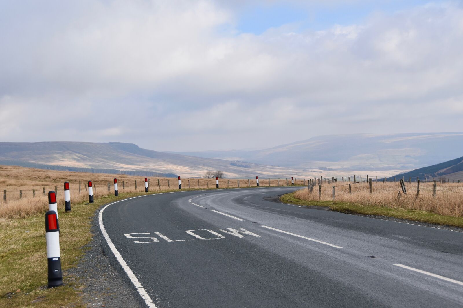 Nikon D5600 sample photo. Yorkshire, english countryside, england photography