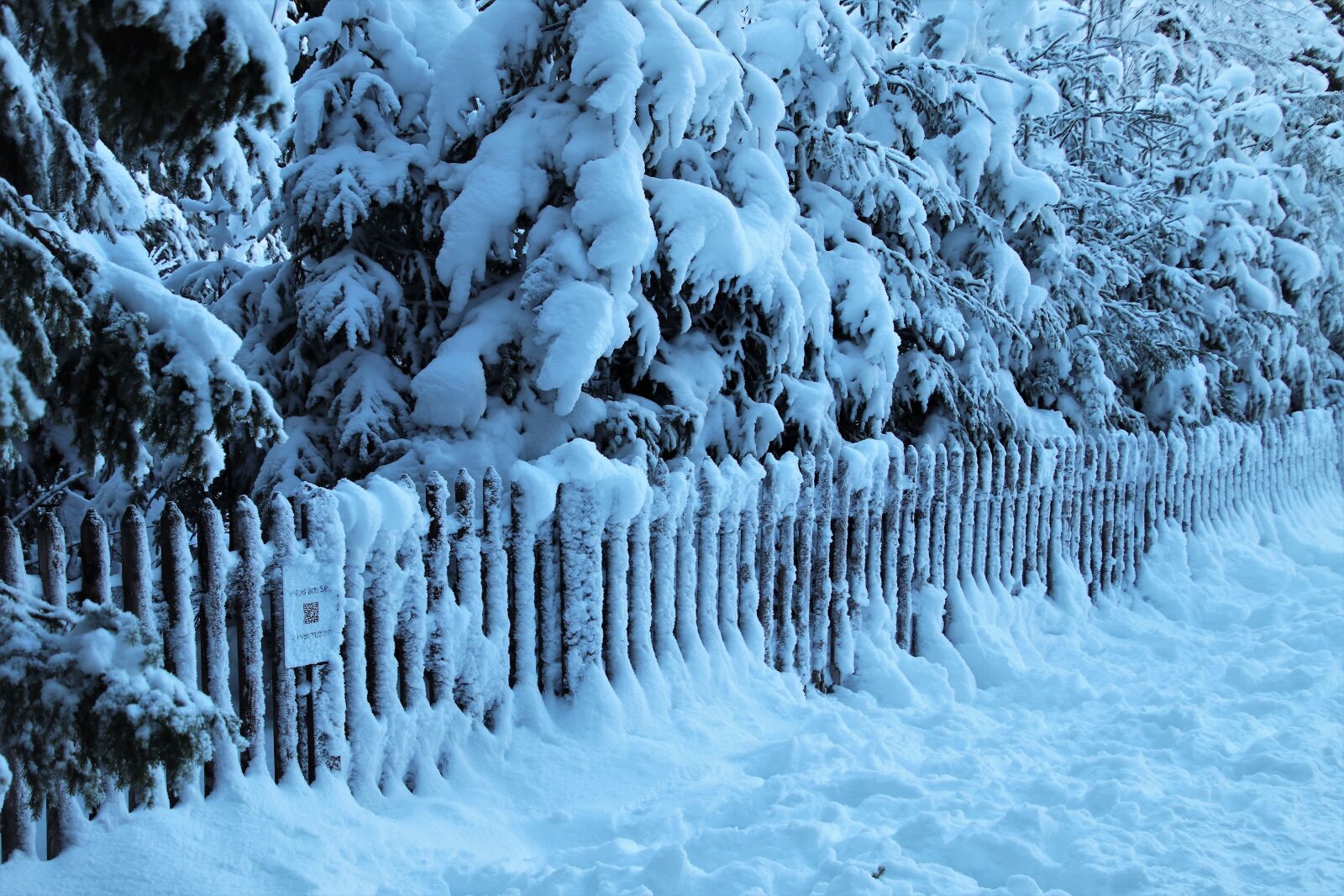 Canon EOS 80D sample photo. Cold, fencing, snow photography