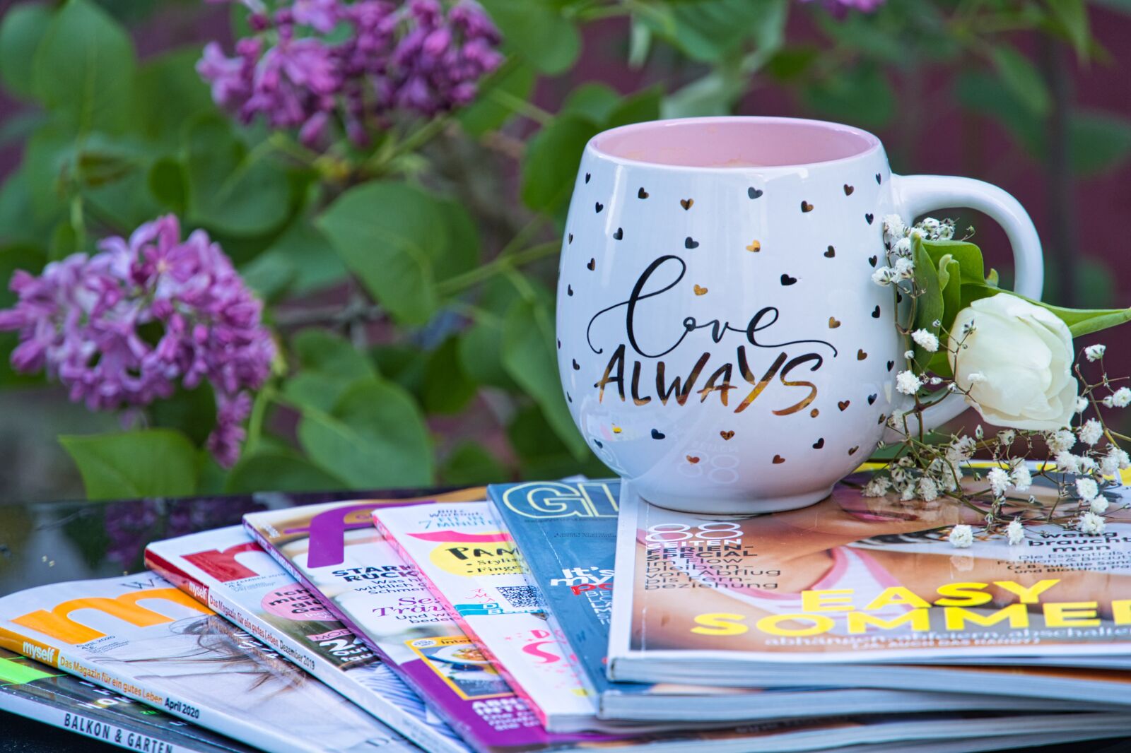 Sony a6400 sample photo. Garden, at home, home photography
