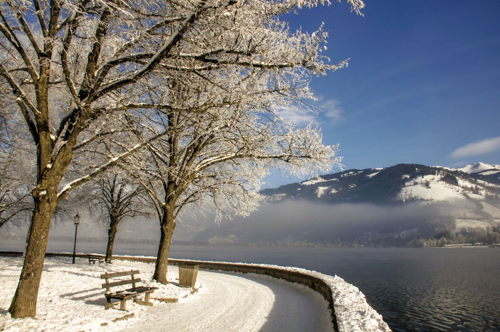 Nikon D300S sample photo. Winter, trees, lake photography