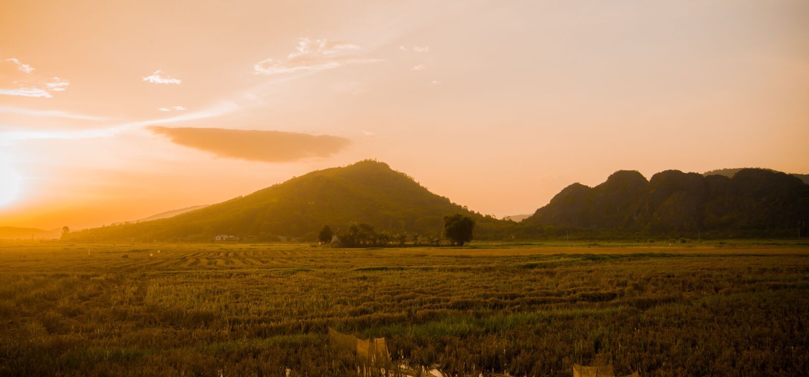 Nikon D700 sample photo. Field, sunset, mountain photography